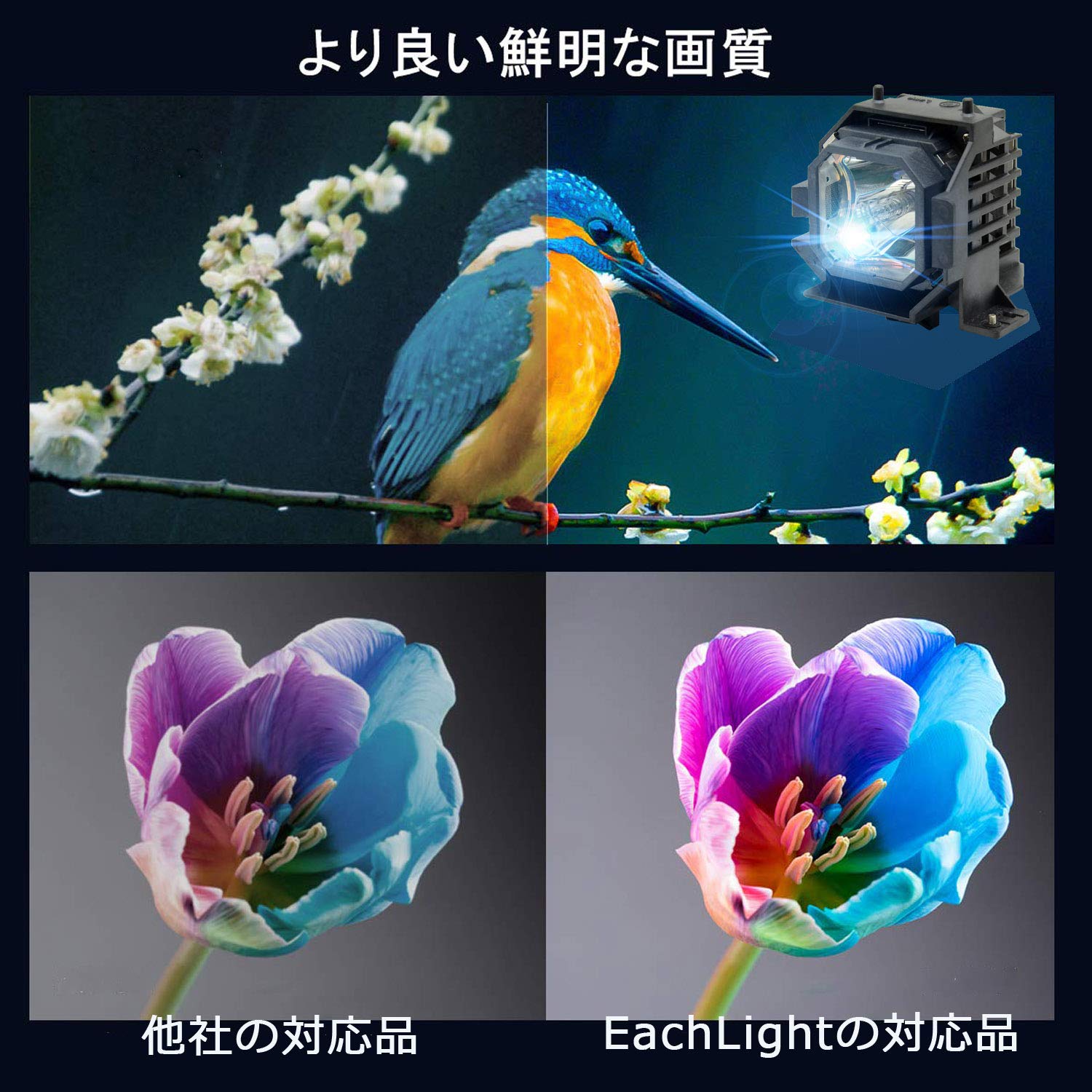 EPSON ELPLP31 交換用ランプ EMP 830, 835用 Amazon.co.jp: Rich Lighting ELPLP31 ランプ EPSON エプソン EMP-830